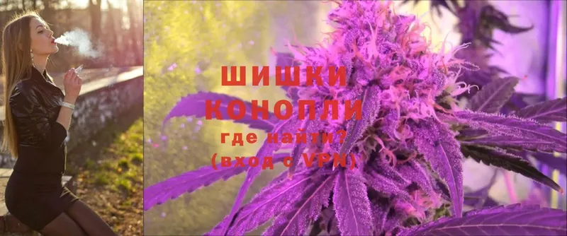 где найти наркотики  Высоцк  Бошки марихуана SATIVA & INDICA 